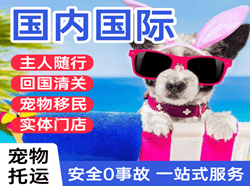 昌都邦达航空空运国际宠物托运 【国